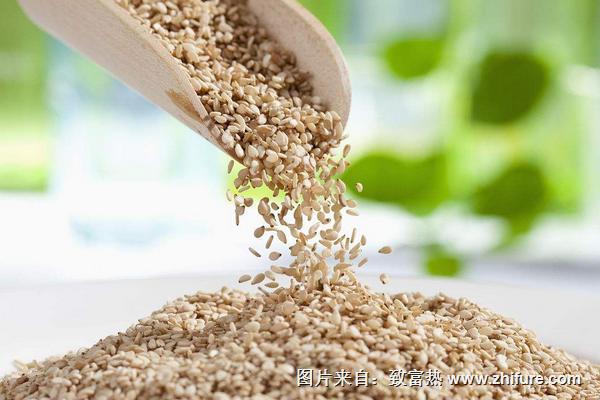 芝麻价格多少钱一斤?
