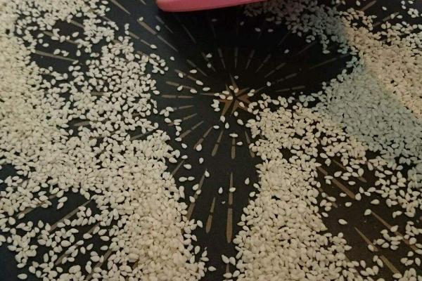 芝麻价格多少钱一斤?
