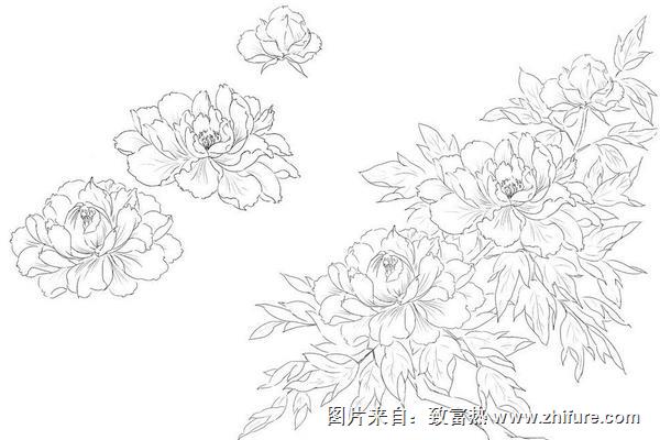 牡丹花怎么画(图解步骤)