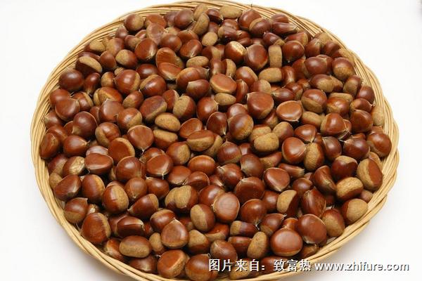 怎样挑选板栗