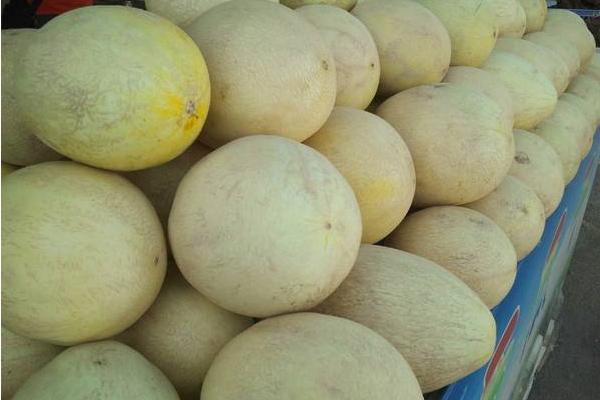 哈密瓜和白兰瓜的区别是什么 白兰瓜的营养价值