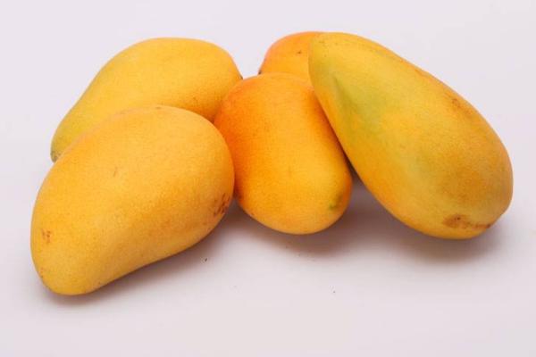 大芒果和小芒果的区别是什么 大芒果怎么切方便吃
