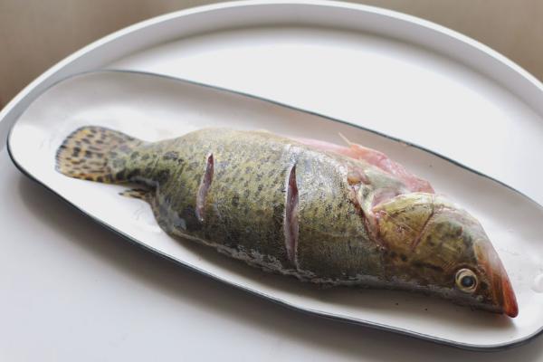 松鼠桂鱼是什么菜系 正宗松鼠桂鱼的做法