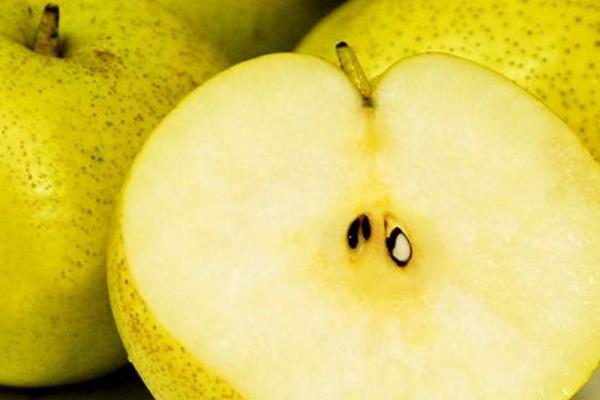 苹果梨和梨苹果的区别是什么 苹果梨的营养价值