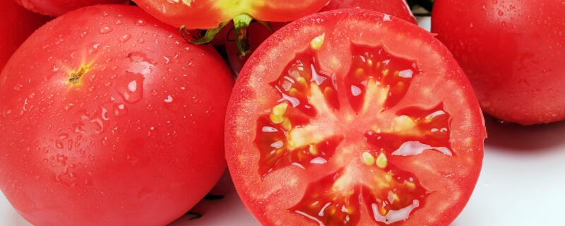 西红柿挂果多久能成熟