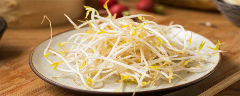 豆芽长在哪里