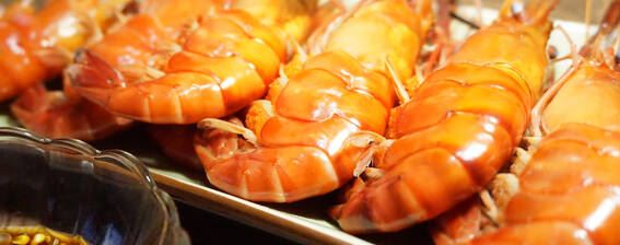 厄瓜多尔白虾是海虾吗