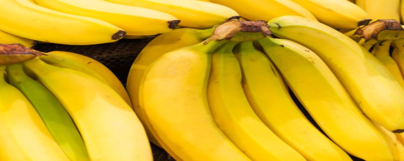 香蕉是果实还是种子