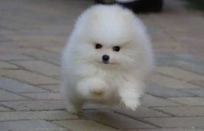 豭ȮǮ