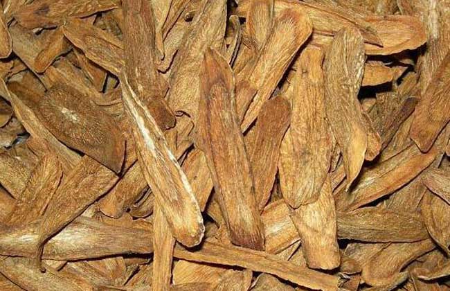 牛蒡茶多少钱一斤？