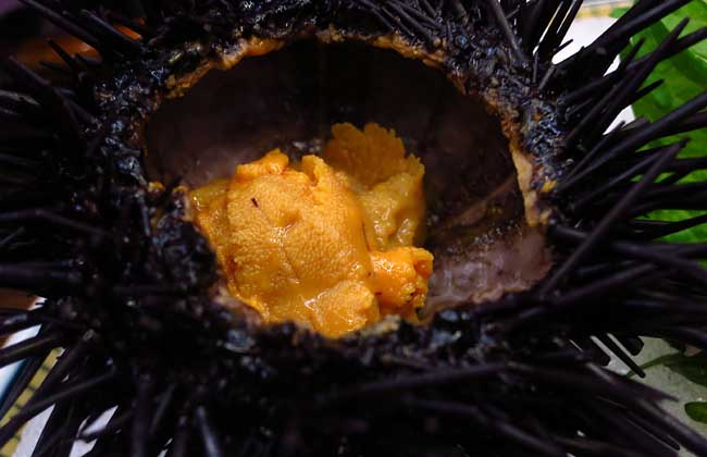 海胆多少钱一斤？