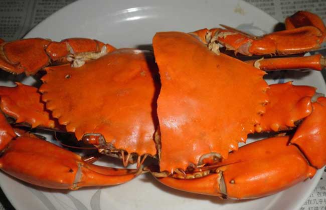 锯缘青蟹多少钱一斤？