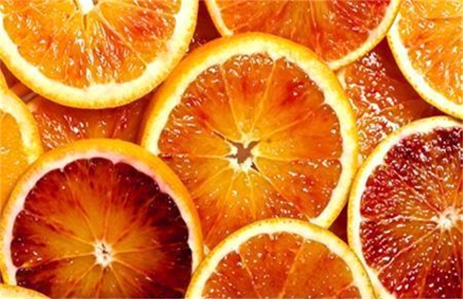血橙多少钱一斤