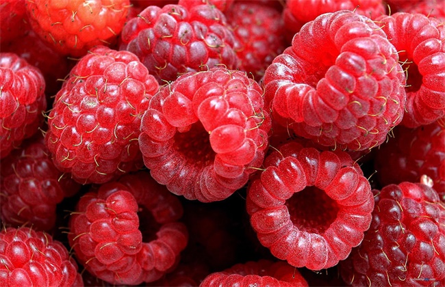 山莓多少钱一斤
