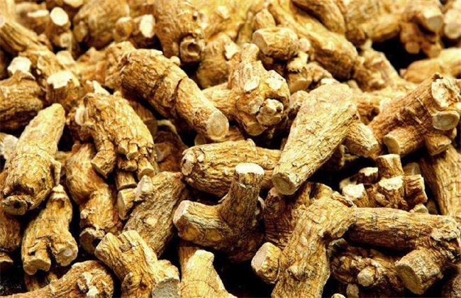 西洋参价格多少钱一斤
