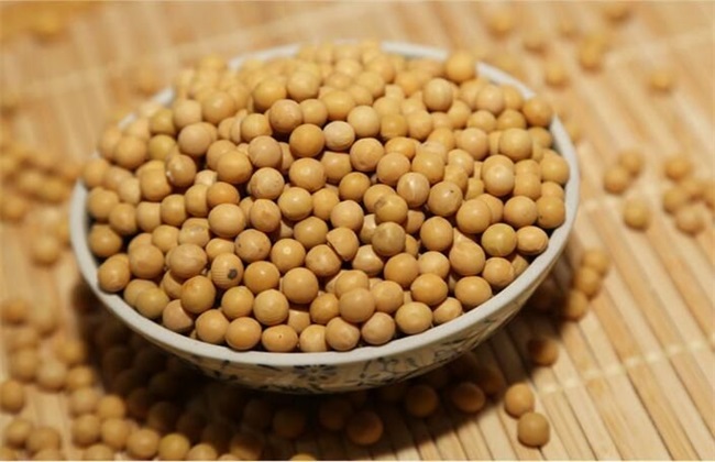 大豆价格多少钱一斤