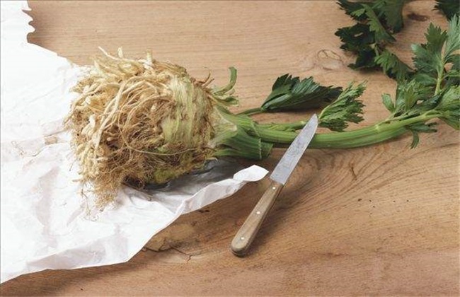 根芹 种植 技术