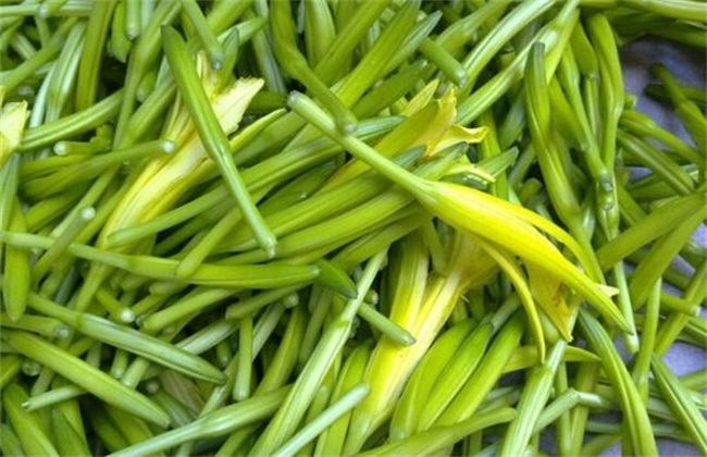 黄花菜 采收后 管理技术