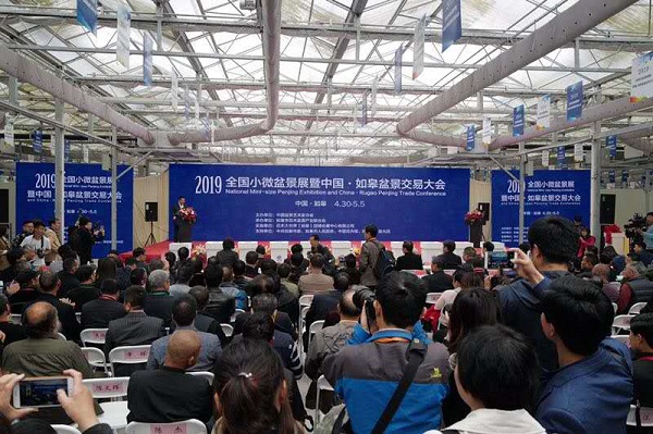 2019全国小微盆景展暨中国·如皋盆景交易大会在如皋举办