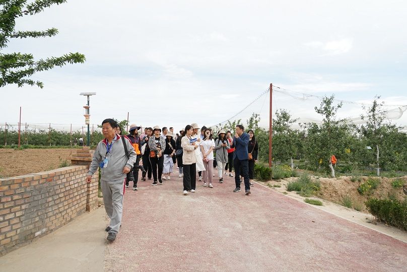 新零售倒逼产业升级  洛川县加速推动苹果产业“后整理”