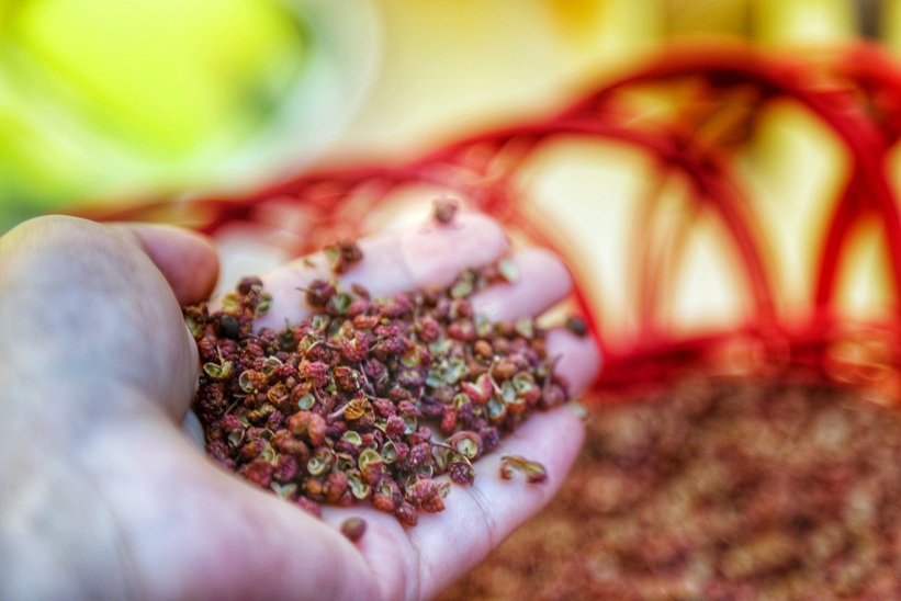 小小花椒树成就韩城致富路