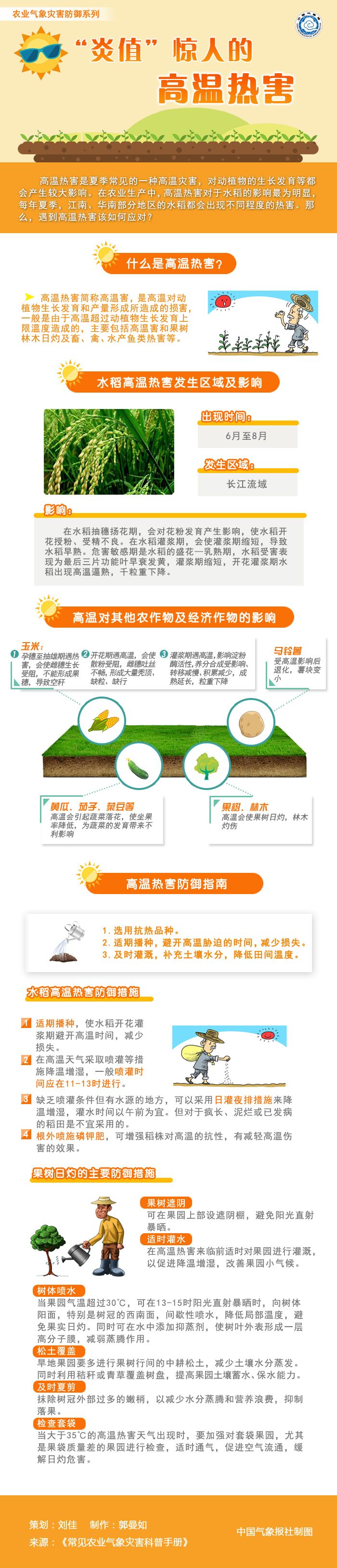 “炎值”惊人的高温热害