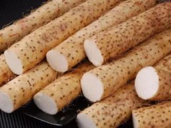 山药生长对于温度的要求如何？