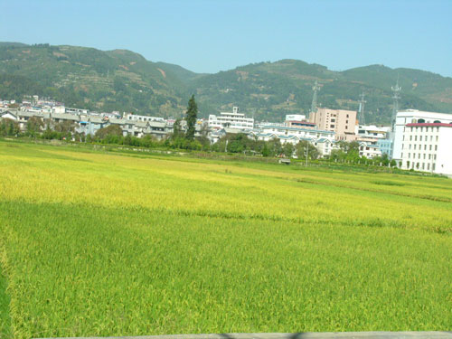 保山昌宁县用小产业改变大格局