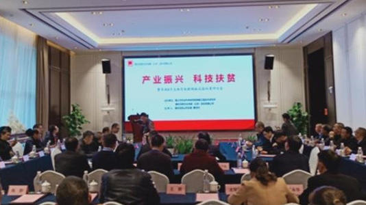 “草根8号”助力遵义辣椒产业蓬勃发展