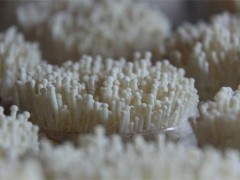 金针菇出菇不齐怎么办