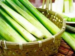 冷水茭白的栽培技术