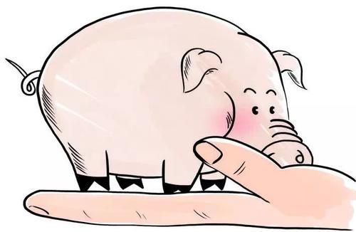 青海省出台新政支持生猪产业发展