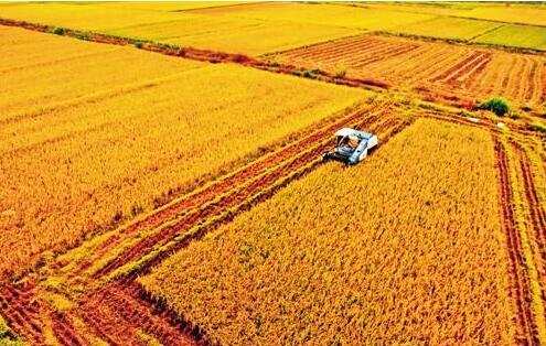 安徽太和县建设高标准农田助力粮食产能