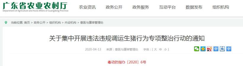 广东:集中开展违法违规调运生猪行为专项整治行动