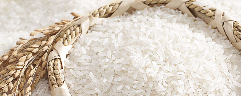 大米是水稻还是小麦