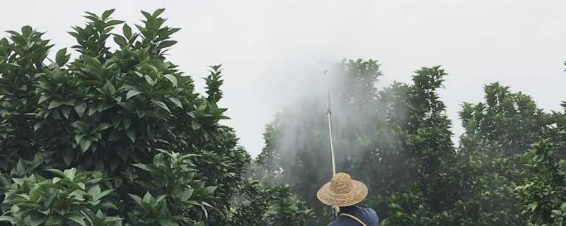 石硫合剂可以防治哪些病虫害,什么时候打好,与波尔多液有何区别