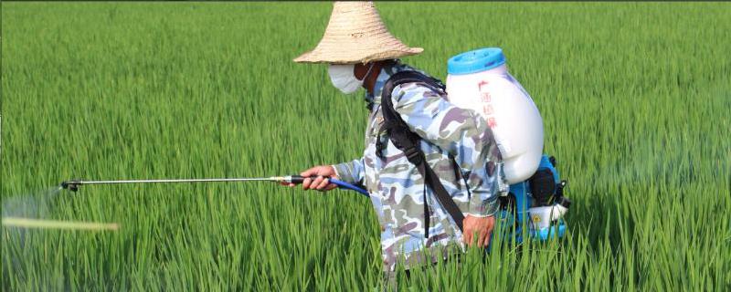 宁南霉素可和哪些农药混用,能防治哪些病