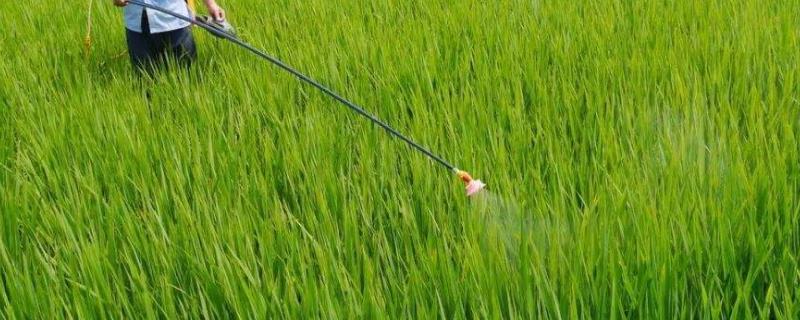 杀菌药复配最佳配方,杀虫药和杀菌药间隔几天用