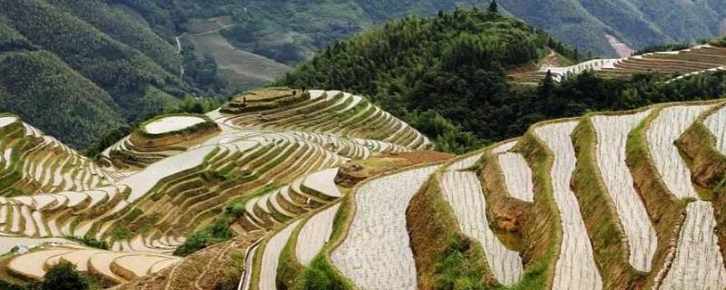 禁止在几度陡坡种植,为什么