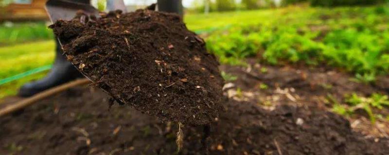 如何进行作物测土配方施肥，主要内容有哪些