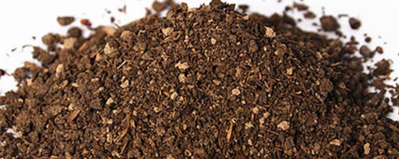 菌剂和菌肥的区别，能混用吗？哪一种更好