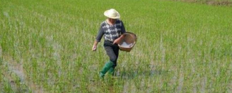 微生物菌剂的作用,怎么使用