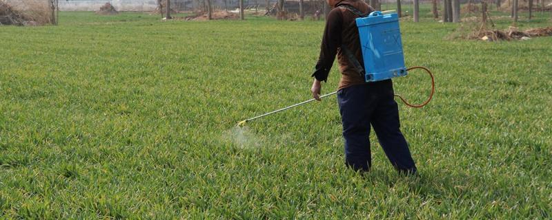 马拉硫磷农药杀什么虫,什么地方有卖