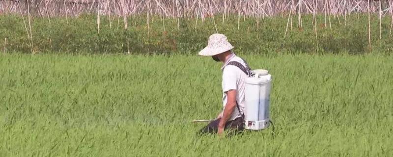 杀虫气雾剂喷不出来,怎么弄才能用,附溴氰菊脂杀虫剂使用说明