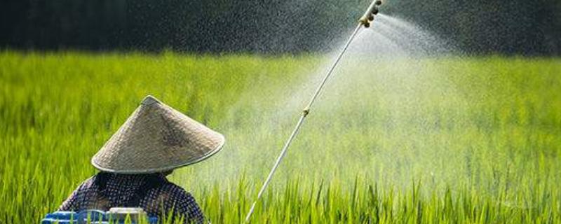 甲维·茚虫威注意事项,适用作物