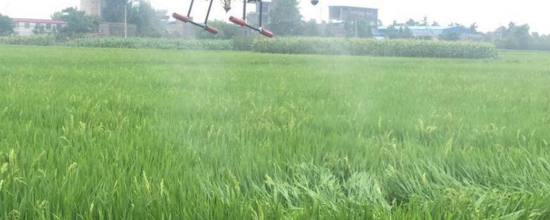 0一7度能打除草剂吗,最低温度是多少