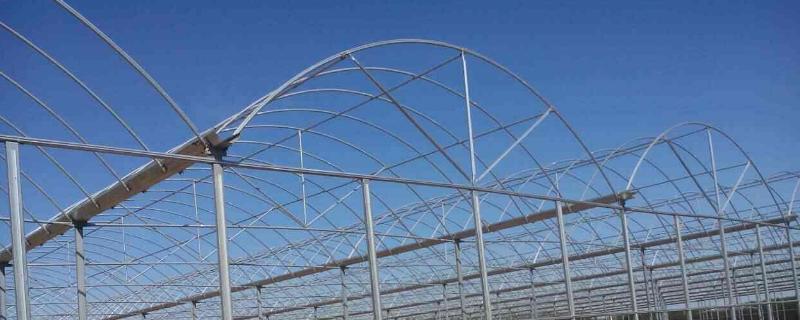 简易大棚怎么搭建,养鸭大棚是怎样建造的