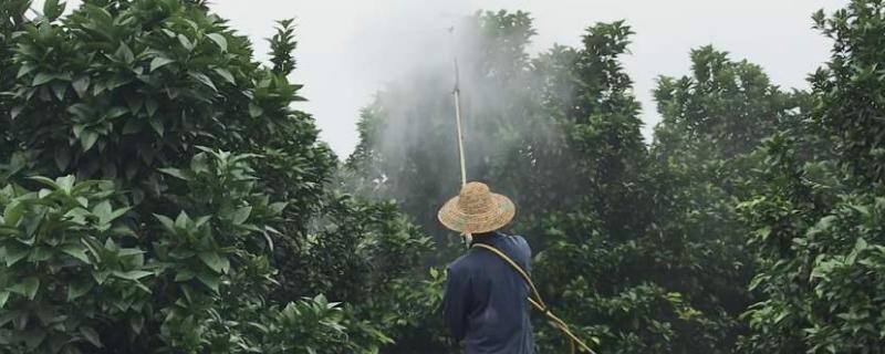 过量使用化肥农药有什么危害,农药污染的危害有哪些