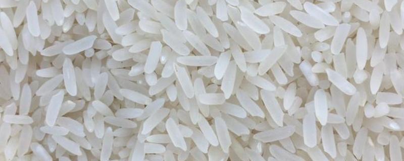 野香优莉丝大米的特点，米是水稻种子的哪一部分