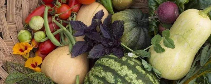 果蔬的采收成熟度如何确定,购买粮油果蔬注意以下几点